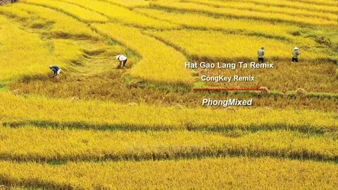 Xu hướng HOT: Camera siêu zoom “bóc”: Hotspot Matrix tiết lộ bí quyết video viral
