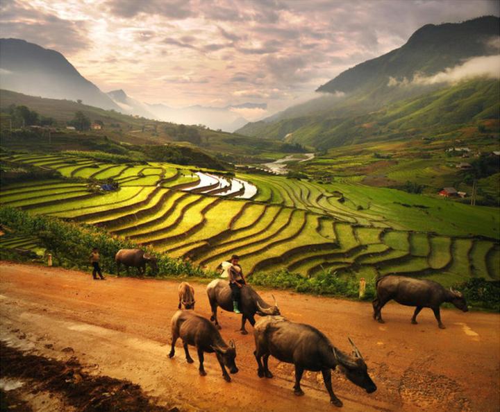 Từ Chiếc quần 