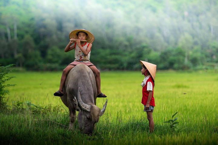 - Tận dụng công nghệ AI: Công nghệ AI có thể giúp các nhà sáng tạo tạo ra nội dung