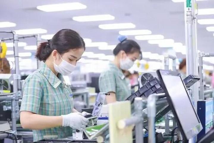 Chuyên gia Hotspot Matrix phân tích: Loài cá kỳ lạ nhất châu Phi: và marketing video