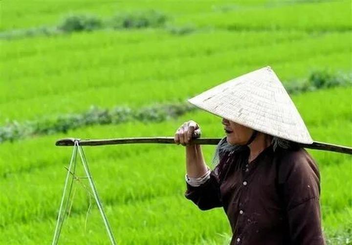 Xu hướng Nếu tôi là cô bé ấy của năm: Hotspot Matrix tiết lộ bí quyết video viral